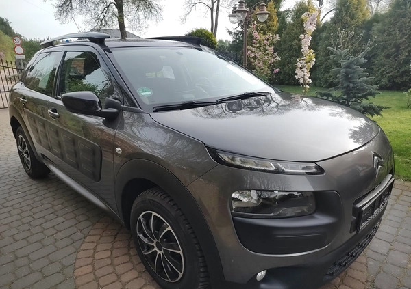 Citroen C4 Cactus cena 38700 przebieg: 179850, rok produkcji 2017 z Bełchatów małe 232